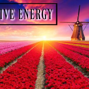 639Hz Attract Positive Energy | Self Love Meditation | Healing, Calm Meditation Music For Positivity