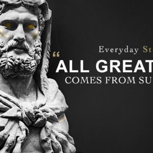 Amazing Stoic Quotes To Overcome Struggle