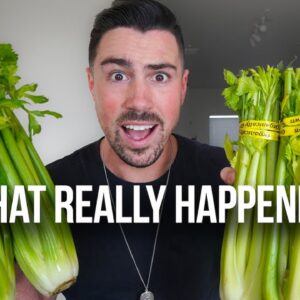 I drank CELERY JUICE for 7 Days and this is what happened...