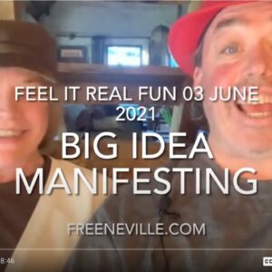 The Power of Big Idea Manifesting -  Dream Driven Day - Neville Goddard