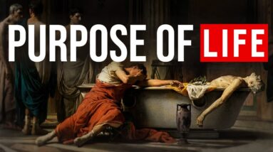The Stoic guide to live life without restraints - Stoicism Teachings