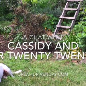 Live Chat - Dream Driven Day Cassidy and Mr Twenty Twenty - Silence - Stillness - Speed