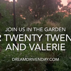 Dream Driven Day - A chat in the Garden with Valerie
