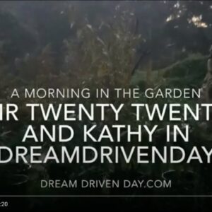 Dream Driven Day Kathy and Mr Twenty Twenty