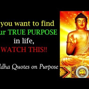IF YOU WANT TO FIND YOUR TRUE PURPOSE IN LIFE, WATCH THIS! Buddha Quotes On Purpose | Buddhist Quote