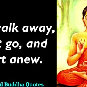 Walk Away, Let it Go & Start Anew! Powerful Buddha Quotes That Will Change Your Life | Buddha Quotes