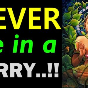 When You Are in a HURRY..!! Incredible Buddha Quotes On Hurrying | Hurry Quotes | Life-changing